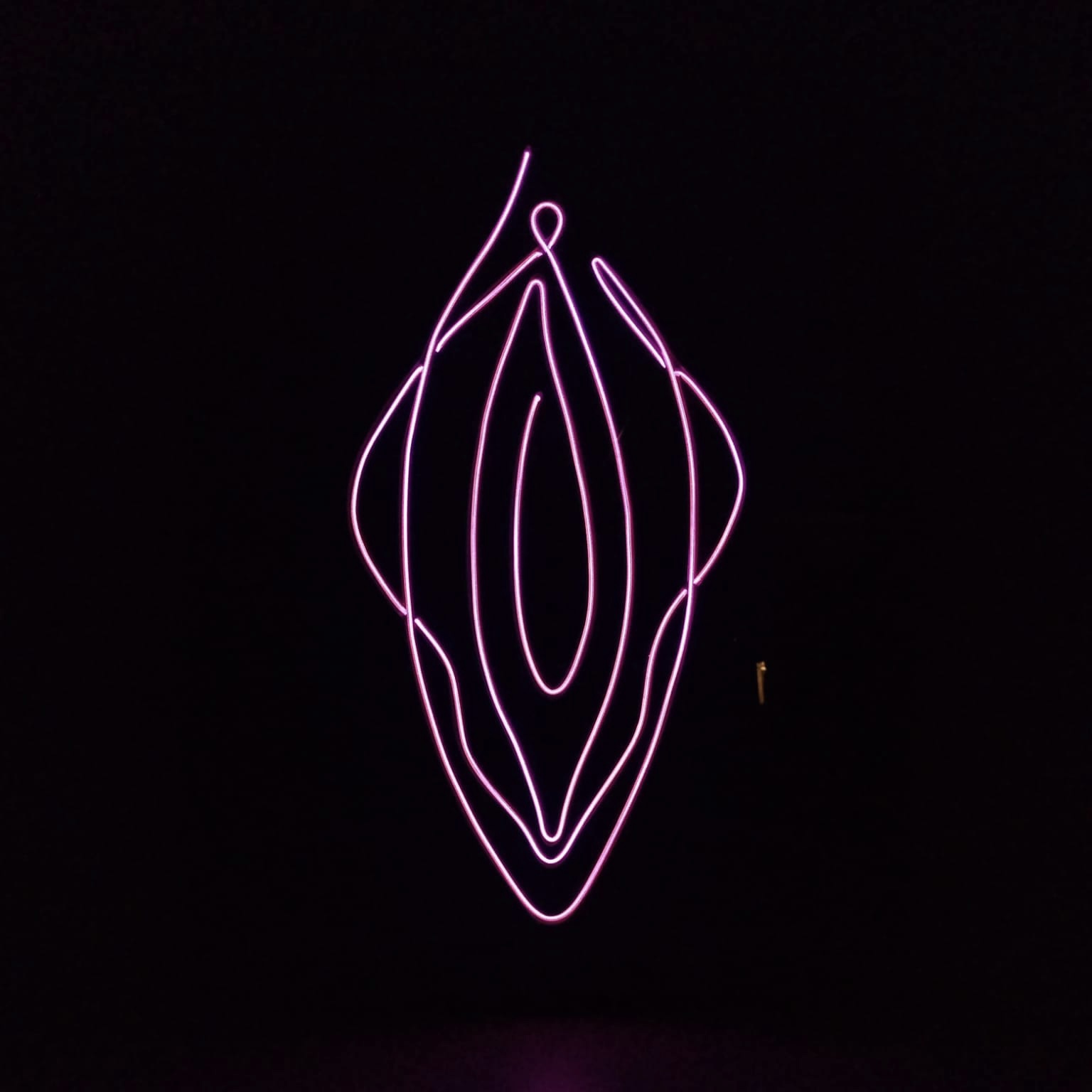 Licht Schilderij Vagina
