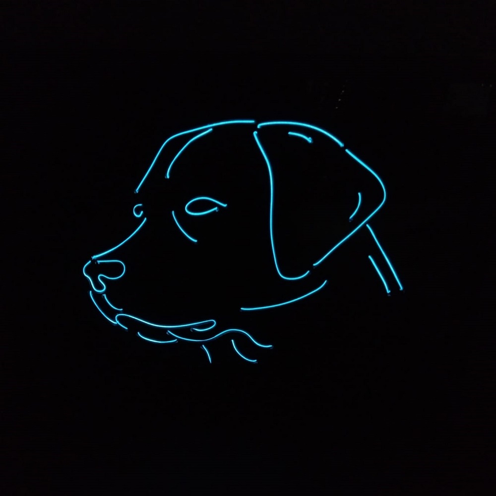 Licht Schilderij Hond