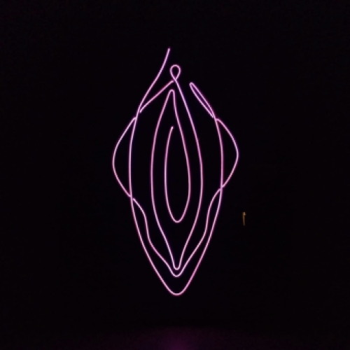 Licht Schilderij Vagina